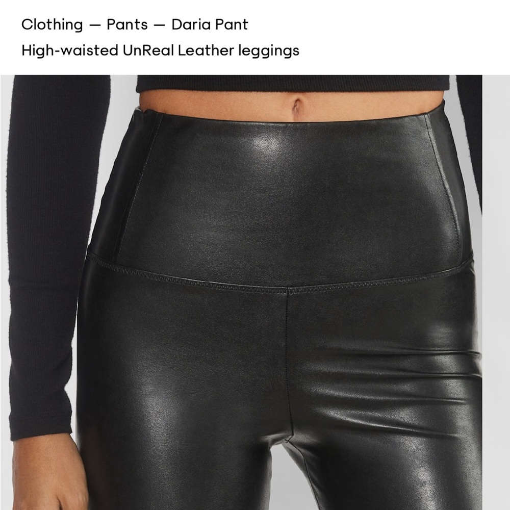 Aritzia Daria babaton leather leggings